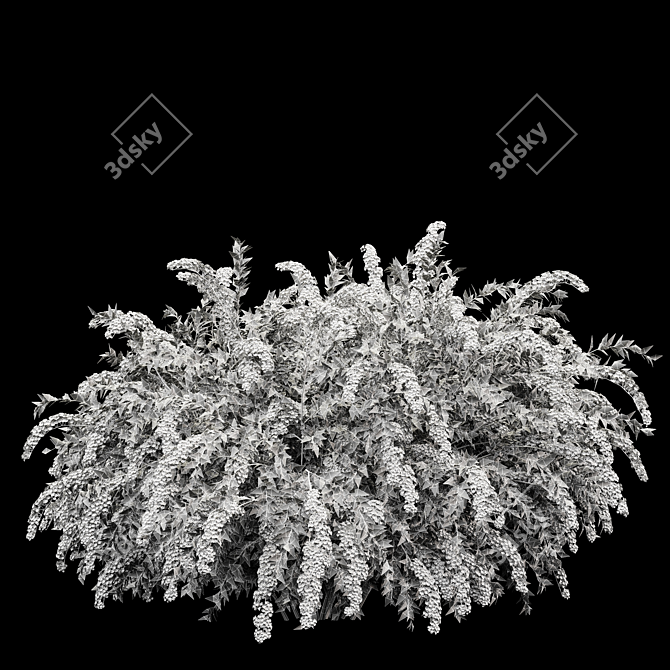 Grefsheim Flowering Shrub 3D Model 3D model image 5