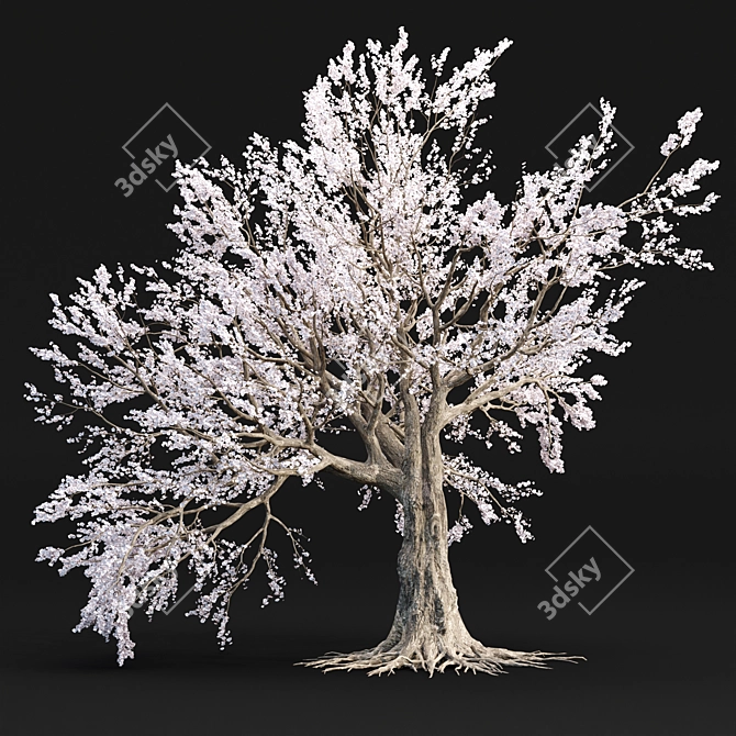 Cherry Blossom Tree Vol. 98 3D model image 1