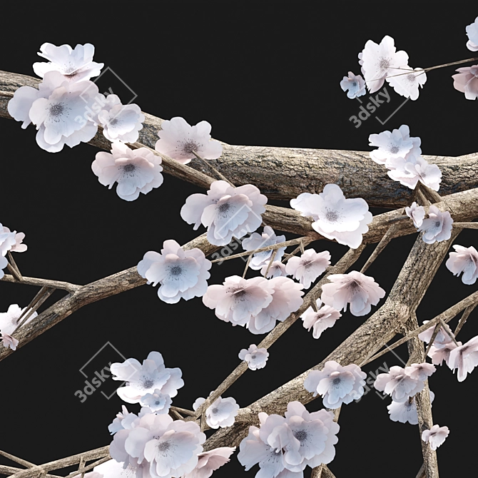 Cherry Blossom Tree Vol. 98 3D model image 3