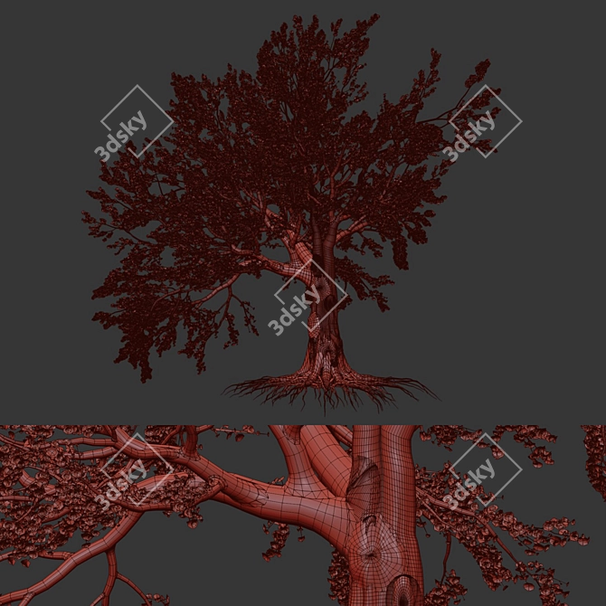 Cherry Blossom Tree Vol. 98 3D model image 5