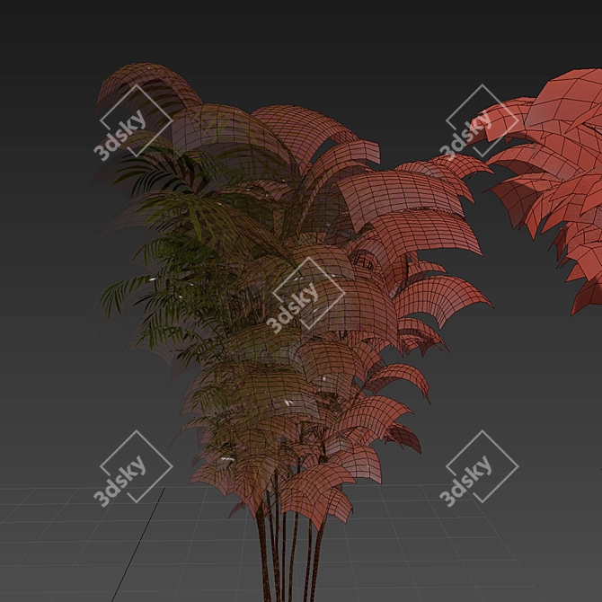 Chamaedorea Seifrizii Bamboo 3D Model 3D model image 6