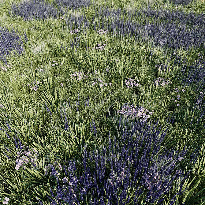 Lavender Meadow 3D Model 3D model image 1