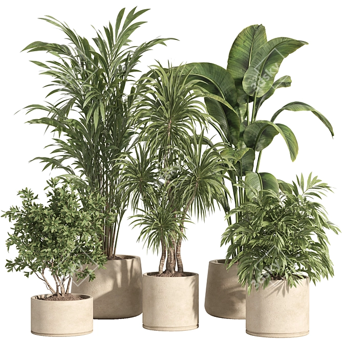 Potted Indoor Plant Set 80 3D model image 1