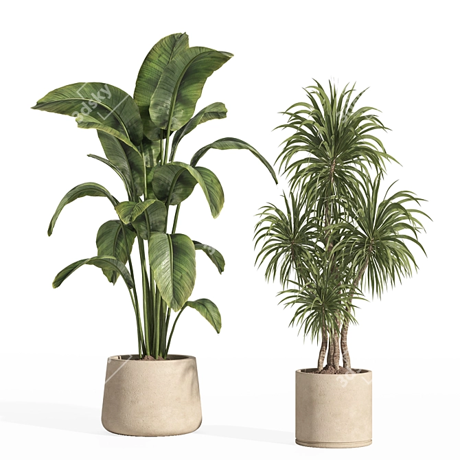 Potted Indoor Plant Set 80 3D model image 2