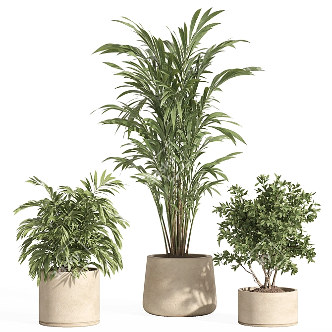 Potted Indoor Plant Set 80 3D model image 3