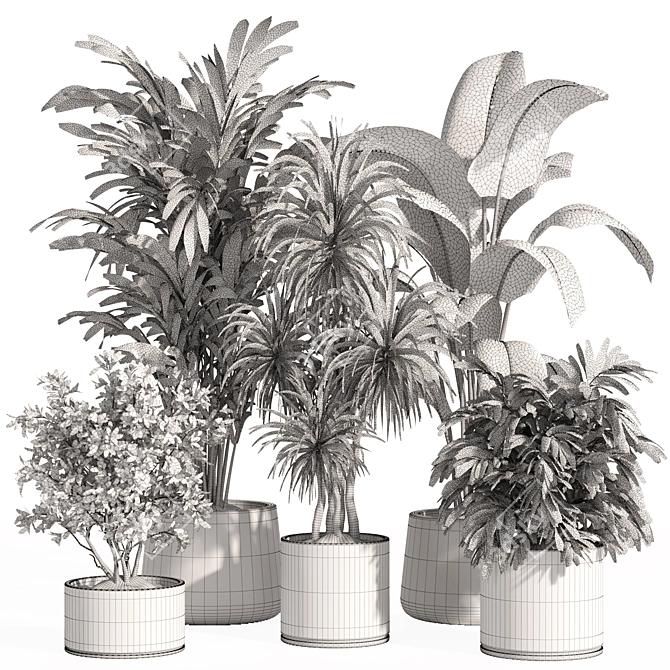 Potted Indoor Plant Set 80 3D model image 4