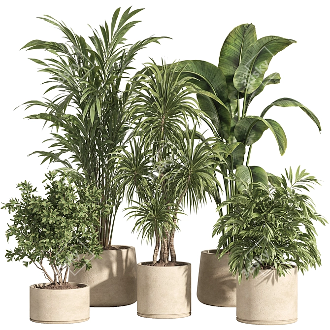 Potted Indoor Plant Set 80 3D model image 5