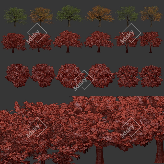  Low Poly Oak Tree Collection 3D model image 7