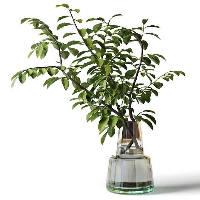 Glass Vase Leafy Branch Bouquet 3D model image 1