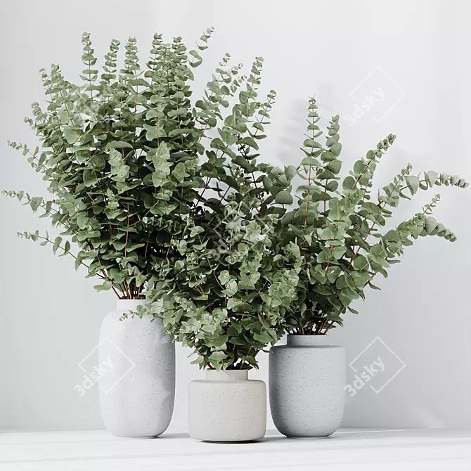 Eucalyptus Foliage Decor Set 3D model image 5