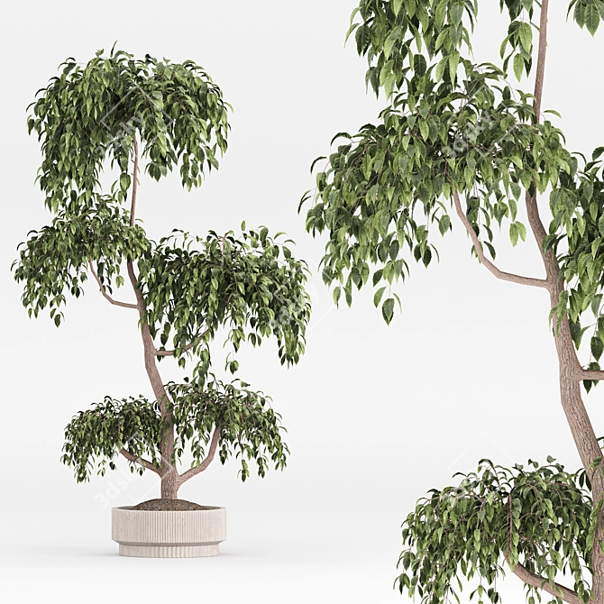  Modern Indoor Plant Set 3D model image 2