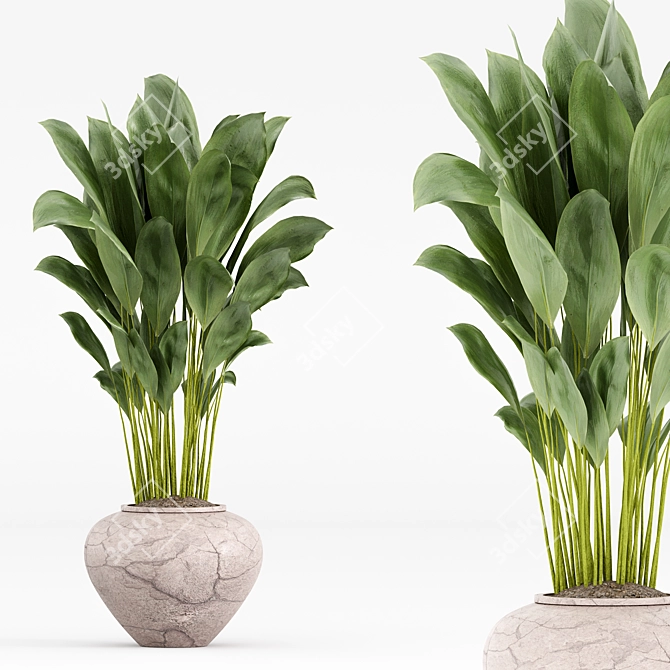  Modern Indoor Plant Set 3D model image 6