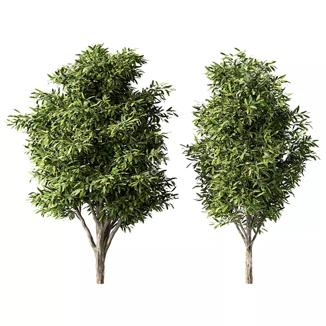 Deluxe Tree No.116 Replica 3D model image 1