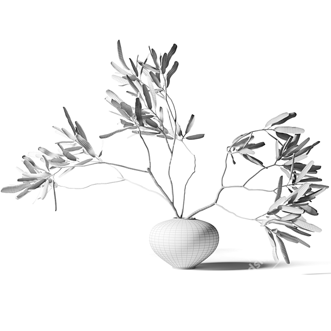 Exotic Branches in Clay Vase 3D model image 2