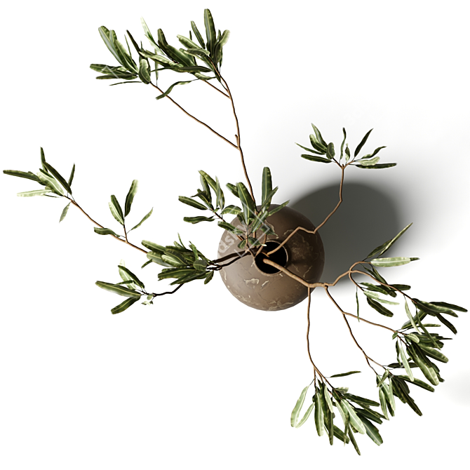 Exotic Branches in Clay Vase 3D model image 3