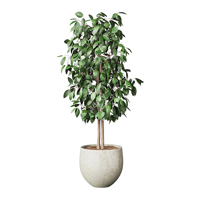 Potted Indoor Plant 3D Model 3D model image 2