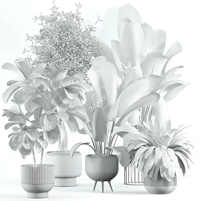 Custom 3D Model Indoor Plant 3D model image 2