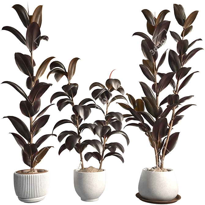 3DSky Plant & Decor Collections 3D model image 1