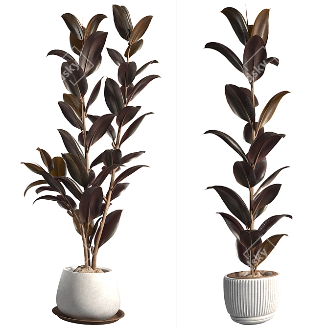 3DSky Plant & Decor Collections 3D model image 3