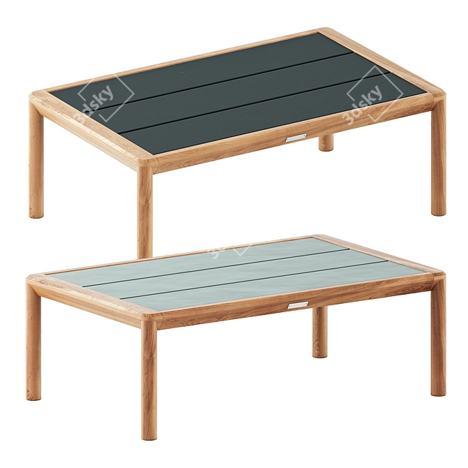 Elegant Apache Coffee Table 3D model image 3