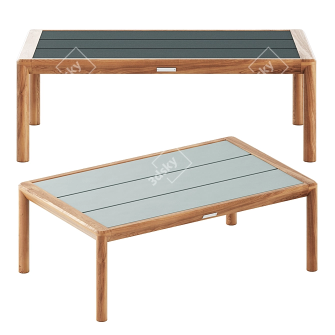 Elegant Apache Coffee Table 3D model image 4