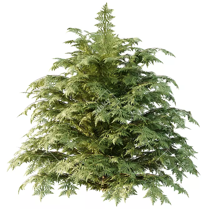 Title: Versatile Cypress Bush 3D Model 3D model image 4