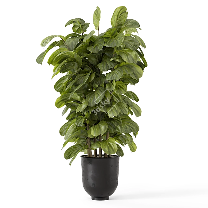 Handcrafted Metal Pot Indoor Plants 3D model image 3