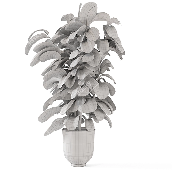 Handcrafted Metal Pot Indoor Plants 3D model image 4