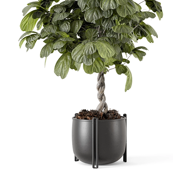 Handmade Metal Pot Indoor Plants 3D model image 3