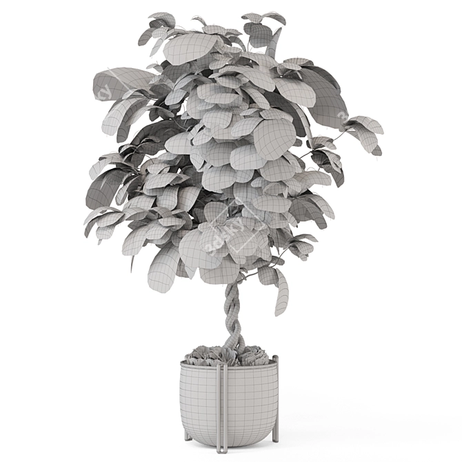 Handmade Metal Pot Indoor Plants 3D model image 5