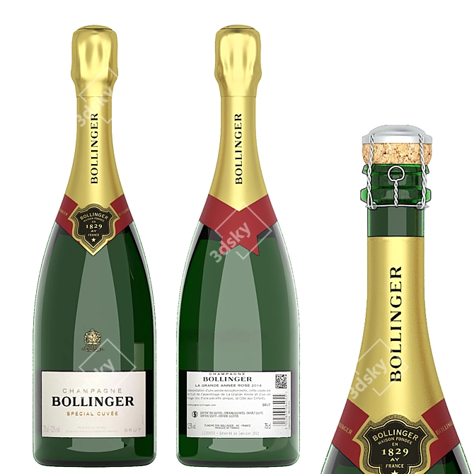 Luxury Champagne Bottle Collection 3D model image 5