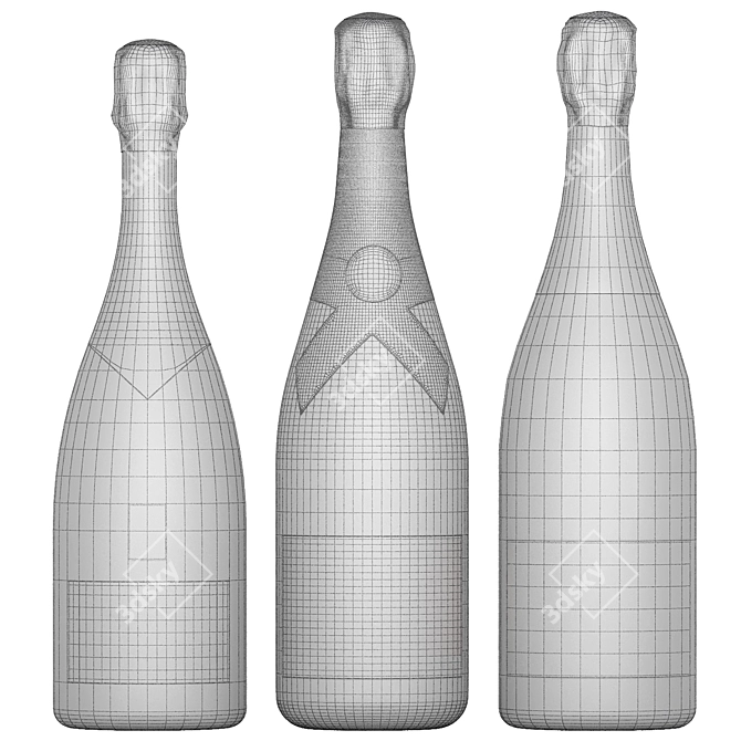 Luxury Champagne Bottle Collection 3D model image 6