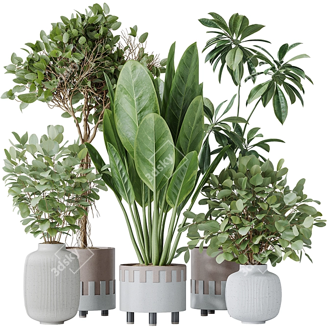 Indoor Plants Set 3D Models 3D model image 1