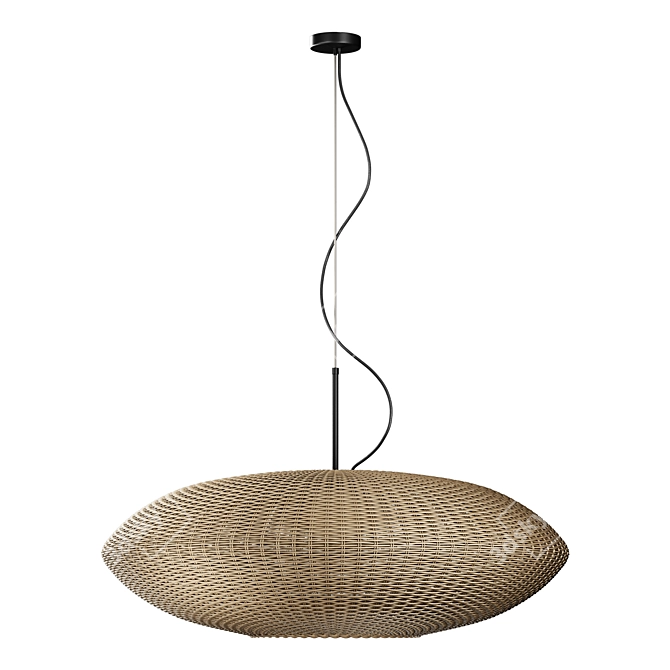 Rattan Pendant Light, Bottega Intreccio 3D model image 2