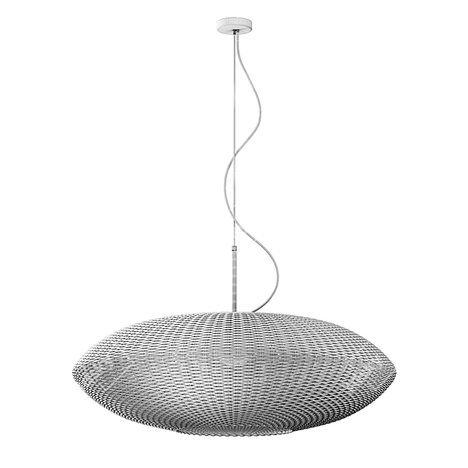 Rattan Pendant Light, Bottega Intreccio 3D model image 4