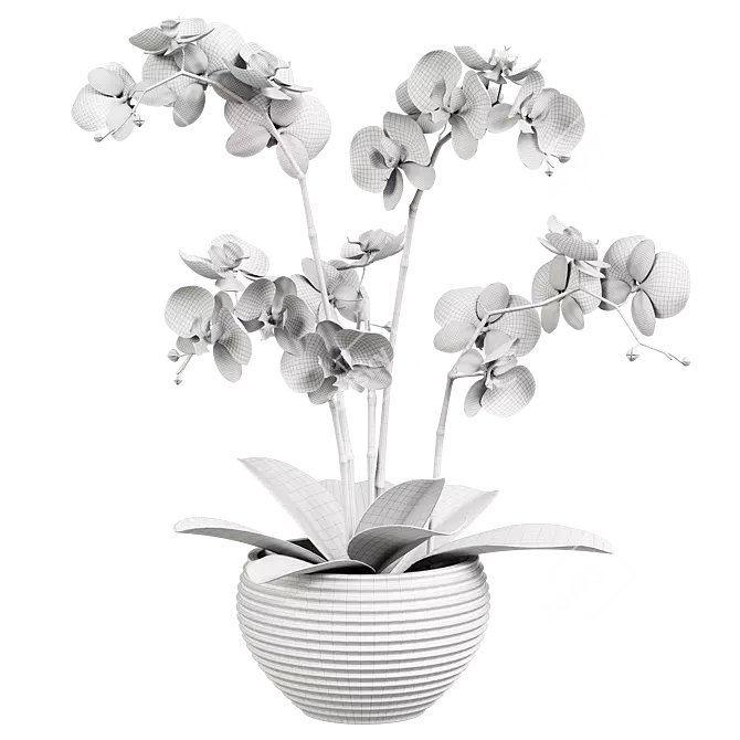 Indoor Orchid Plant in Pot 3D model image 3