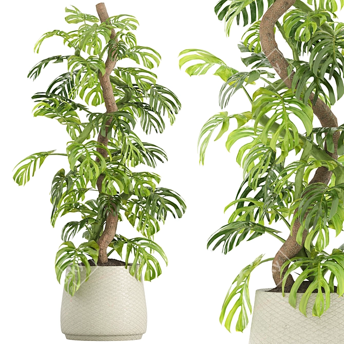 Green Oasis Indoor Plants Set 3D model image 1