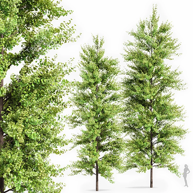 Spring Trees 3D Model Collection 3D model image 3