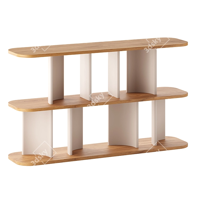 Designer Set of 3 Shelves 3D model image 2