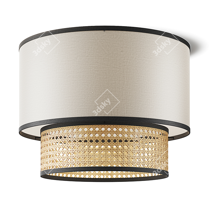 Sklum Luxio Adjustable Ceiling Light 3D model image 3