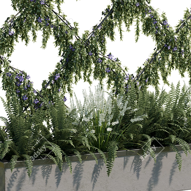 Outdoor Plant 21 - Corona 9 Version 3D model image 2