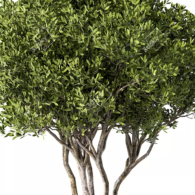 Modern Abstract Tree Sculpture 3D model image 3