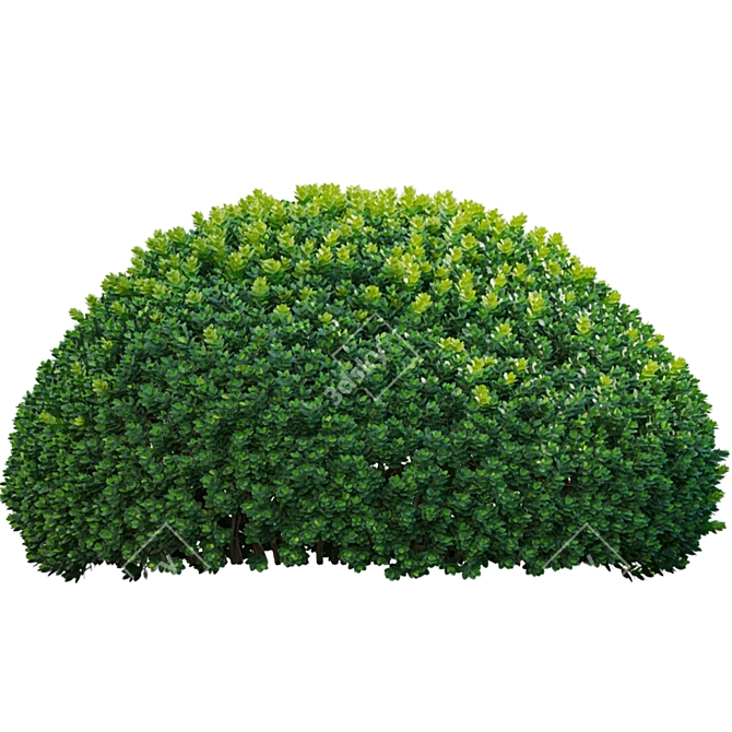 Diverse 3D Plant Models Kit 3D model image 2