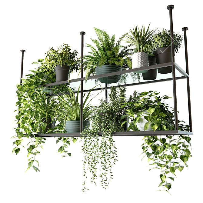 Hanging Shelf with Plants, Kitchen 3D model image 1