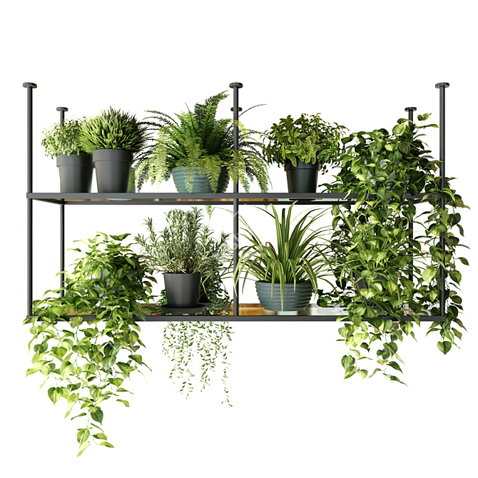 Hanging Shelf with Plants, Kitchen 3D model image 3