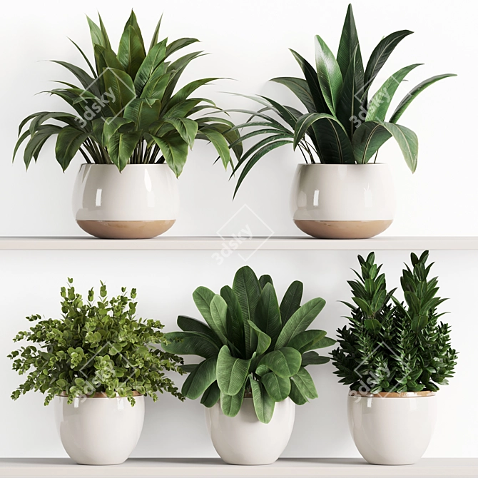 High-Quality Indoor Plant Shelf Set 3D model image 1