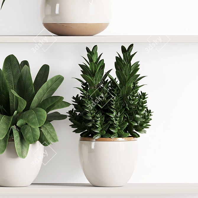 High-Quality Indoor Plant Shelf Set 3D model image 3