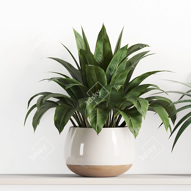 High-Quality Indoor Plant Shelf Set 3D model image 4