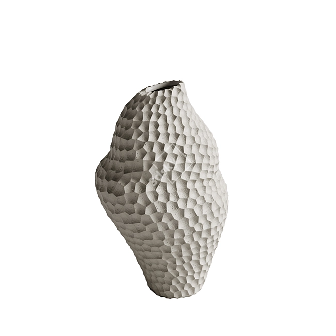 Cooee Design Vase Set 3D model image 4