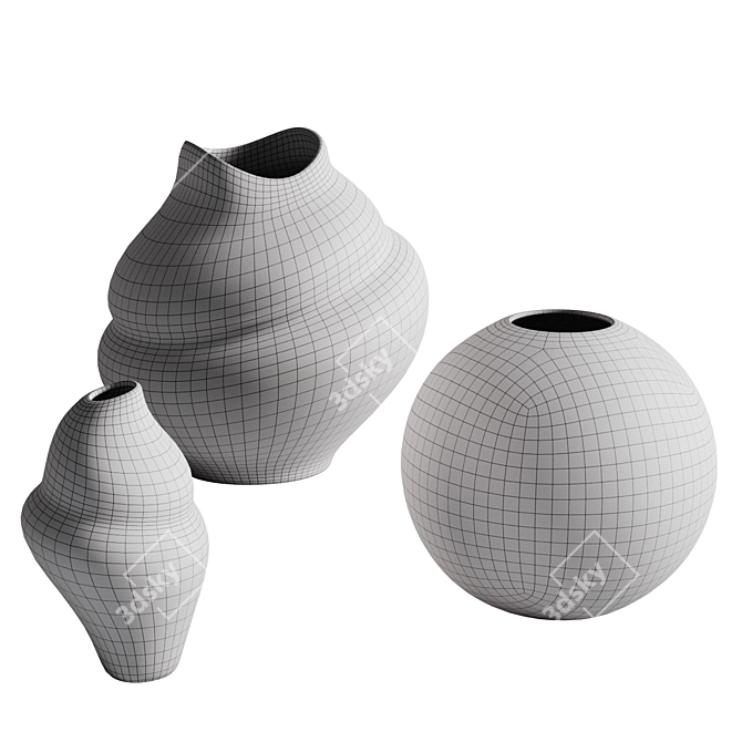 Cooee Design Vase Set 3D model image 5